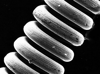 ��Ʒ������