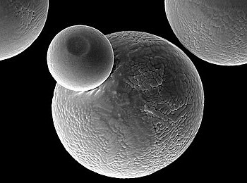 ���ۿ���