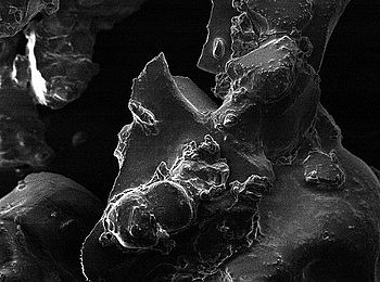 ��Ʒ�����ϲ��Ϸ�ĩ