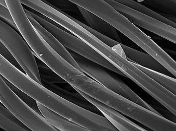 ��е����Ͽ�ѧ������