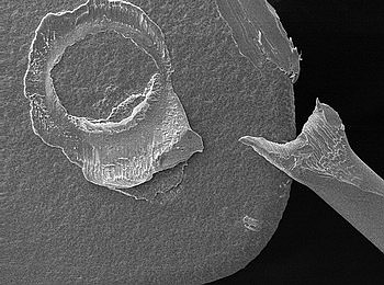 ��Ʒ��BONDING