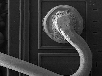 ��Ʒ��BONDING