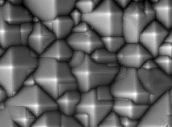 �������Ƭ