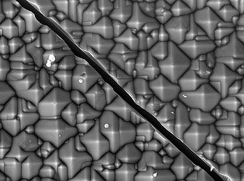 �������Ƭ